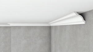 Listwa przysufitowa CXP10